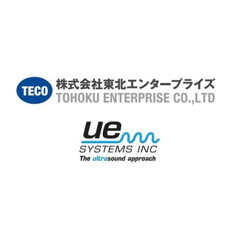 UE SYSTEMS